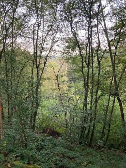 La Cabane, Durbuy Zewnętrze zdjęcie