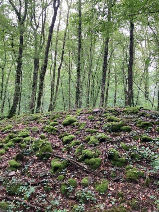 La Cabane, Durbuy Zewnętrze zdjęcie